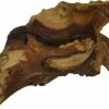 Reptiles & Amphibian Zoo Med | Zoo Med Aquatic Natural Mopani Wood