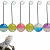 Reptiles & Amphibian Koomduk | Koomduk 6 Pack Bearded Dragon Toys Balls Bell,Bearded Dragon Accessories,Fit For Lizard Small Reptile Habitat Terrarium Tank