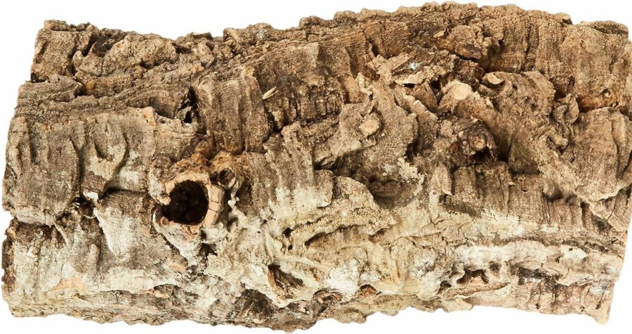 Reptiles & Amphibian Zoo Med | Zoo Med Natural Cork Bark, Round, Medium