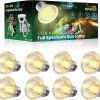 Reptiles & Amphibian Lustaled | Lustaled 8Pack Heat Lamp Bulbs, 50W Reptile Heat Bulb, Uva Uvb Reptile Light Bulb, E26 Dimmable Full Spectrum Sun Lamp Reptile Basking Bulb For Chicks, Turtle, Lizard, Amphibians, Puppies