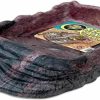 Reptiles & Amphibian Zoo Med | Zoo Med Repti Ramp Bowl (Xlarge)