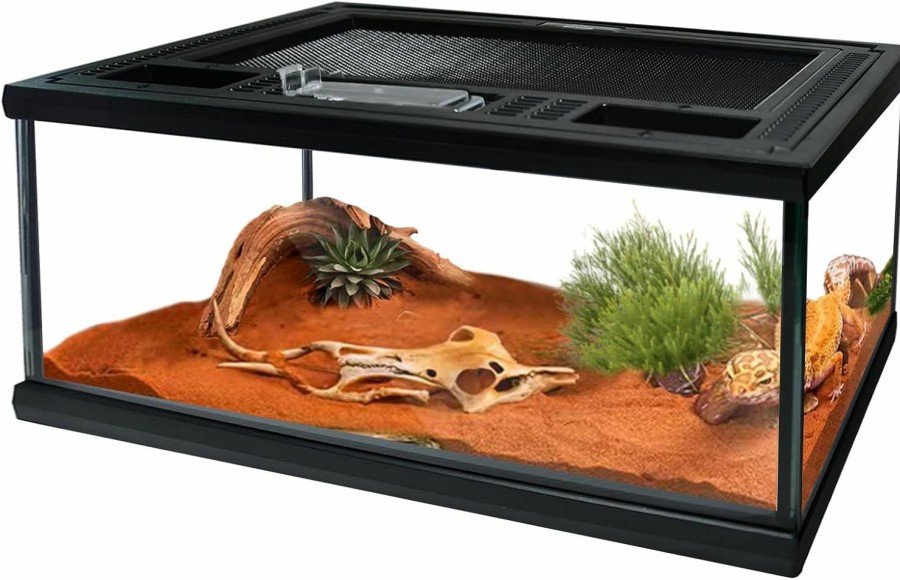 Reptiles & Amphibian waazoorep | Waazoorep Reptile Glass Terrarium Tank 12\"*8\"*6\",Small Cage Full View With Top Screen Ventilation Habitat Enclosure For Tarantula,Frog,Gecko,Insects,Spiders,Snakes,Hermit Crab,Turtle,Ball Python