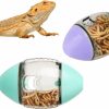 Reptiles & Amphibian LUTER | Bearded Dragon Toy, Reptile Toys Lizard Enrichment Toys Bearded Dragon Feeding Toys Reptile Enrichment Toy For Lizards Bearded Dragons Geckos Small Reptiles (Green, Purple)