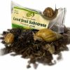 Reptiles & Amphibian Generic | Premium Land Snail Substrate - The Perfect Bedding For Your Pet Snail | Weight 7 Oz Or 200 Grams