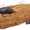 Reptiles & Amphibian CHERLAM | Cherlam Turtle Basking Platform, Turtle Dock Basking Area With Strong Suction Cups, Resin Step Ledge Turtle Tank For Amphibians Frogs Newts Lizard-Brown