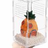 Reptiles & Amphibian LEIZHENZI | Jumping Spider Enclosure,8X4X4In Vertical Acrylic Spider Terrarium,Reptile Tank For Tarantula Scorpion Sling Isopods Snail Reptile Invertebrates Accessories