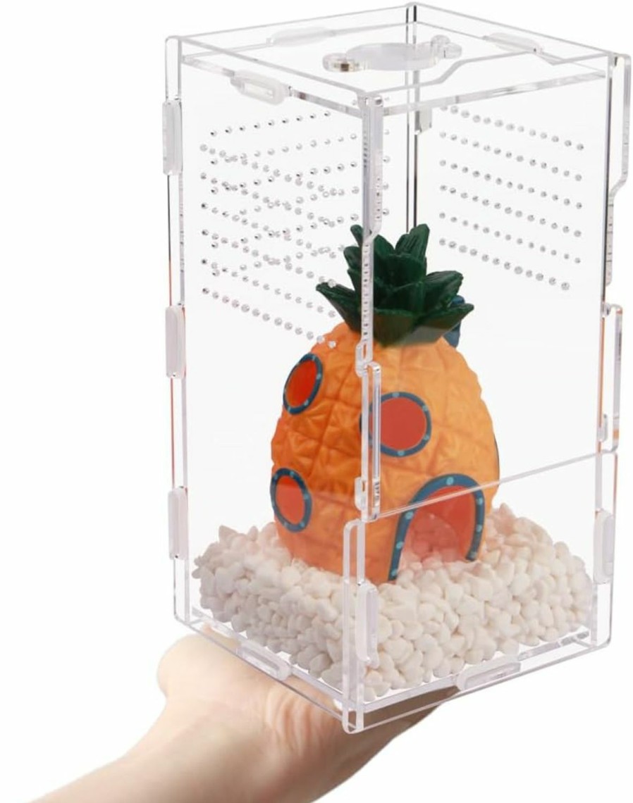 Reptiles & Amphibian LEIZHENZI | Jumping Spider Enclosure,8X4X4In Vertical Acrylic Spider Terrarium,Reptile Tank For Tarantula Scorpion Sling Isopods Snail Reptile Invertebrates Accessories