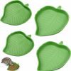 Reptiles & Amphibian Boao | 4 Pieces Leaf Reptile Food Water Bowl Plate Dish For Tortoise Corn Snake Crawl Pet Drinking And Eating, 2 Sizes