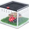 Reptiles & Amphibian Wedoelsim | Wedoelsim Clear Viewing Degree Bug Catcher Jumping Spider Enclosure - Convenient Feeding And Peace Of Mind - Colorful Design - Suitable For Spiders And Small Insects - Ventilated Terrarium