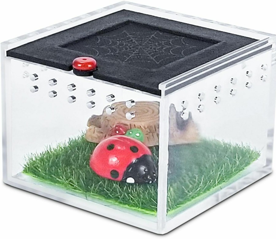 Reptiles & Amphibian Wedoelsim | Wedoelsim Clear Viewing Degree Bug Catcher Jumping Spider Enclosure - Convenient Feeding And Peace Of Mind - Colorful Design - Suitable For Spiders And Small Insects - Ventilated Terrarium