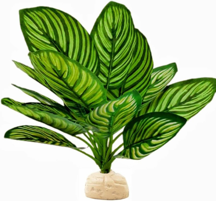 Reptiles & Amphibian FLmoving | Reptile Terrarium Decor,Amphibian Habitat Decor,Artificial Plants For Crested Gecko Tank Accessories Suitable For Leopard Gecko Bearded Dragon Lizard Chameleon Snake Tortoise (Calathea Makoyana-D)