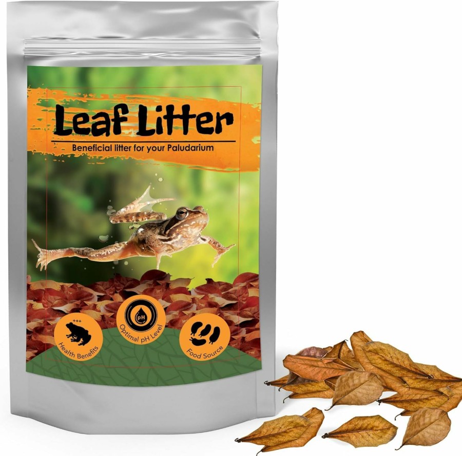 Reptiles & Amphibian JOR | Jor 120 Pack Dwarf Frog Leaf Litter, Mini Indian Almond Leaves As Microfauna Habitat Tank Food Source, Substrate In Bioactive Terrarium & Vivarium Enclosure, Helps Tank Mimics Native Habitat