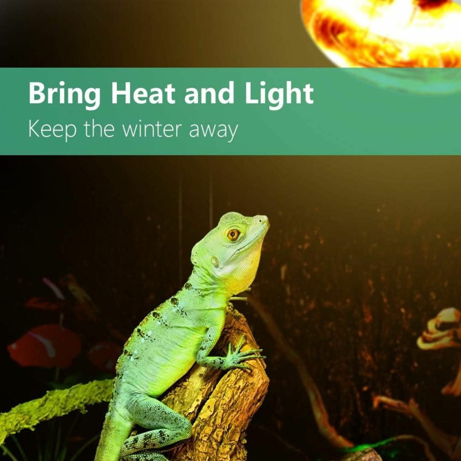 Reptiles & Amphibian AMZCOOL | Amzcool Uvb And Uva Reptile Heat Lamp Bulb For Reptiles, Amphibian And Birds (100 W)