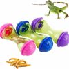 Reptiles & Amphibian CheeFun | Cheefun 3Pcs Reptile Enrichment Toy: Bearded Dragon Toys Reptile Tank Decor Accessories - Reptile Feed Toys For Small Animals Lizard Bearded Dragon & Gecko