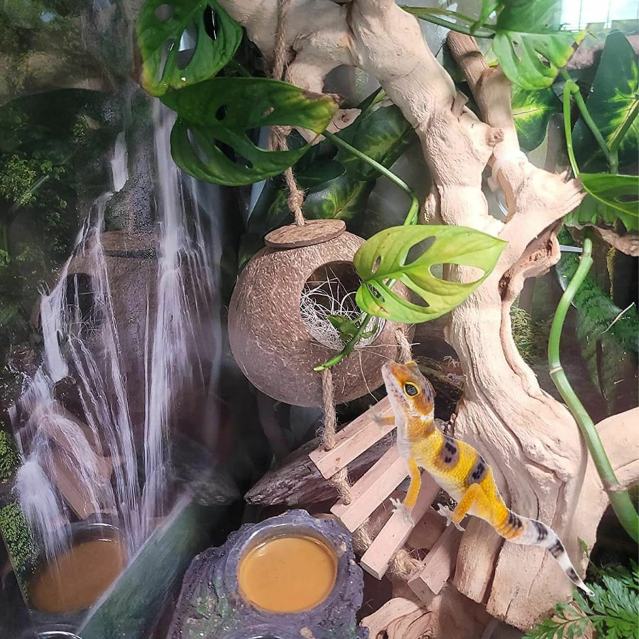 Reptiles & Amphibian MUYG | Muyg Lizard Coco Den With Ladder,Leopard Gecko Coconut Husk Hut Hideout Home Reptile Hammock Climbing Hanging Plants Decor Habitat Tank Accessories For Bearded Dragon Snake Chameleon