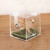 Reptiles & Amphibian crapelles | Crapelles Jumping Spider Micro Big Habitat,Small Pet Insect Breeding Box, 360 Degree High Transparent Reptile Cage, Acrylic Case Mini Carrier For Amphibians,Feeding Container Enclosure Accessories