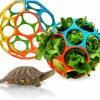 Reptiles & Amphibian Hamiledyi | Hamiledyi Tortoise Treat Ball Toy, 2 Pack Turtle Feeding Grass Balls Hanging Feeder Balls Fruit Vegetable Holder Foraging Toy Habitat Accessories For Small Animals Pet