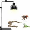 Reptiles & Amphibian kathson | Kathson Reptile Lamp Stand Adjustable Metal Floor Lamps Bracket Reptiles Tank Heating Light Support For Bearded Dragon Snakes Tortoise Lizards Frog Hermit Crab (1 Pcs)