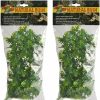 Reptiles & Amphibian Zoo Med | Zoo Med 2 Pack Of Natural Bush Plants, Large, Amazonian Phyllo, For Reptile And Amphibian Terrariums