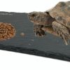 Reptiles & Amphibian SHIGATSU | Shigatsu Reptile Basking Platform Rock, Reptile Food Bowl, Tortoise Slate Feeding Dish, Resting Terrace, Reptile Substrate Mat, For Turtle Lizard Bearded Dragon Crested Gecko Snake(5.9"X11.8")