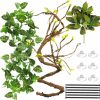 Reptiles & Amphibian Reptiking | Reptiking Reptile Terrarium Decor Plants, Hanging Vines, Fake Plants For Reptile Enclosure, Ideal For Snake Chameleon Bearded Dragon Lizard Gecko Tank Accessories