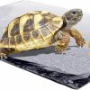 Reptiles & Amphibian kathson | Kathson Reptile Basking Platform Tortoise Rock Plate Turtle Bathing Area Feeding Food Dish Resting Terrace