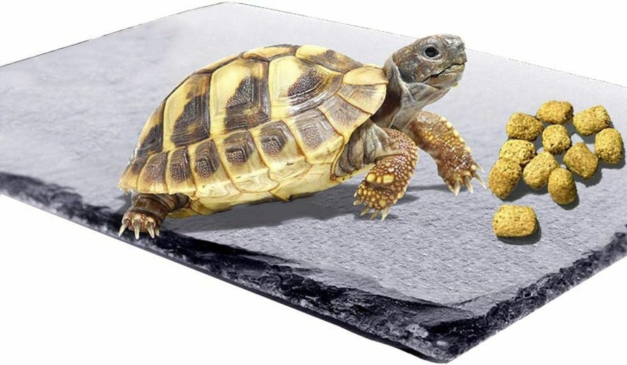 Reptiles & Amphibian kathson | Kathson Reptile Basking Platform Tortoise Rock Plate Turtle Bathing Area Feeding Food Dish Resting Terrace