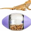 Reptiles & Amphibian LUTER | Bearded Dragon Toy, Reptile Toys Lizard Enrichment Toys Bearded Dragon Feeding Toys Reptile Enrichment Toy For Lizards Bearded Dragons Geckos Small Reptiles (Purple)