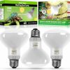 Reptiles & Amphibian LUCKY HERP | Lucky Herp New Upgrade 3 Pack 100W Reptile Heat Lamp Bulb (3Nd Gen, Safer), Amphibian Uva Heat Light Bulb, Reptile Basking Daylight Spot Lamp Bulb For Bearded Dragon, Lizard, Tortoise Heating Use