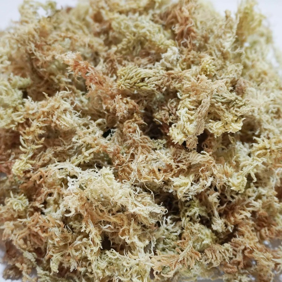 Reptiles & Amphibian Begeterday | Begeterday 1.4Lb Natural Sphagnum Moss For Reptiles,Ideal Humidity Retaining Medium For Snakes,Turtles And Other Reptiles,Good For Terrariums For Reptiles & Amphibians