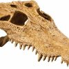 Reptiles & Amphibian Exo Terra | Exo Terra Terrarium Decor Croc Skull Lq, For Reptile And Amphibians