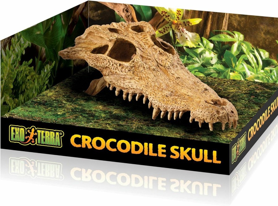 Reptiles & Amphibian Exo Terra | Exo Terra Terrarium Decor Croc Skull Lq, For Reptile And Amphibians