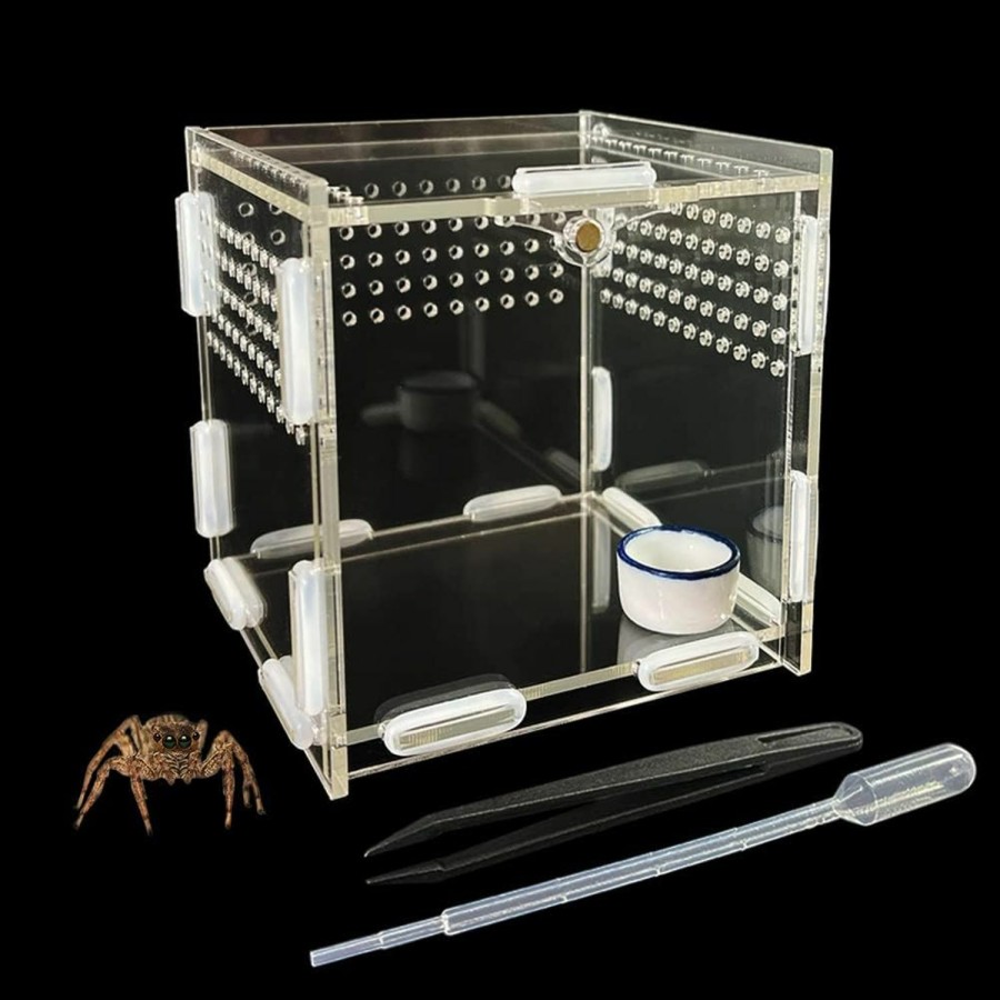 Reptiles & Amphibian GKPONSX | Gkponsx Magnetic Acrylic Spider Terrarium, Transparent Jumping Spider Enclosure With Dropper Tweezers Bowls For Insect Spider Crickets Gecko Scorpion Sling Mantis Frog Isopods Snails Hermit Crabs