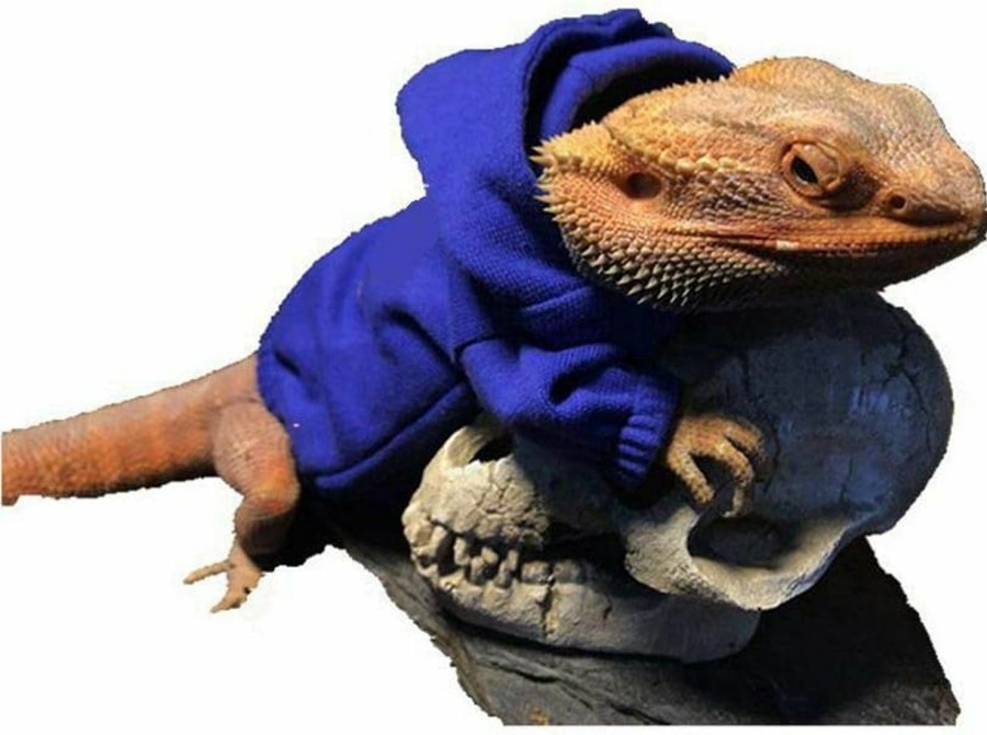 Reptiles & Amphibian HAICHEN TEC | Lizard Clothes For Bearded Dragons Reptile Apparel Handmade Cotton Material Hoodies Sweater For Skin Protection Photo Party For Crested Gecko Chameleon