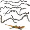 Reptiles & Amphibian Apatal | Apatal Reptile Branch Decor Snake Climbing Wood Branches Lizard Habitat Decorations Terrarium Wooden Tree Trunk Ornament For Bearded Dragon Snake Geckos Chameleon Frog 6 Pack