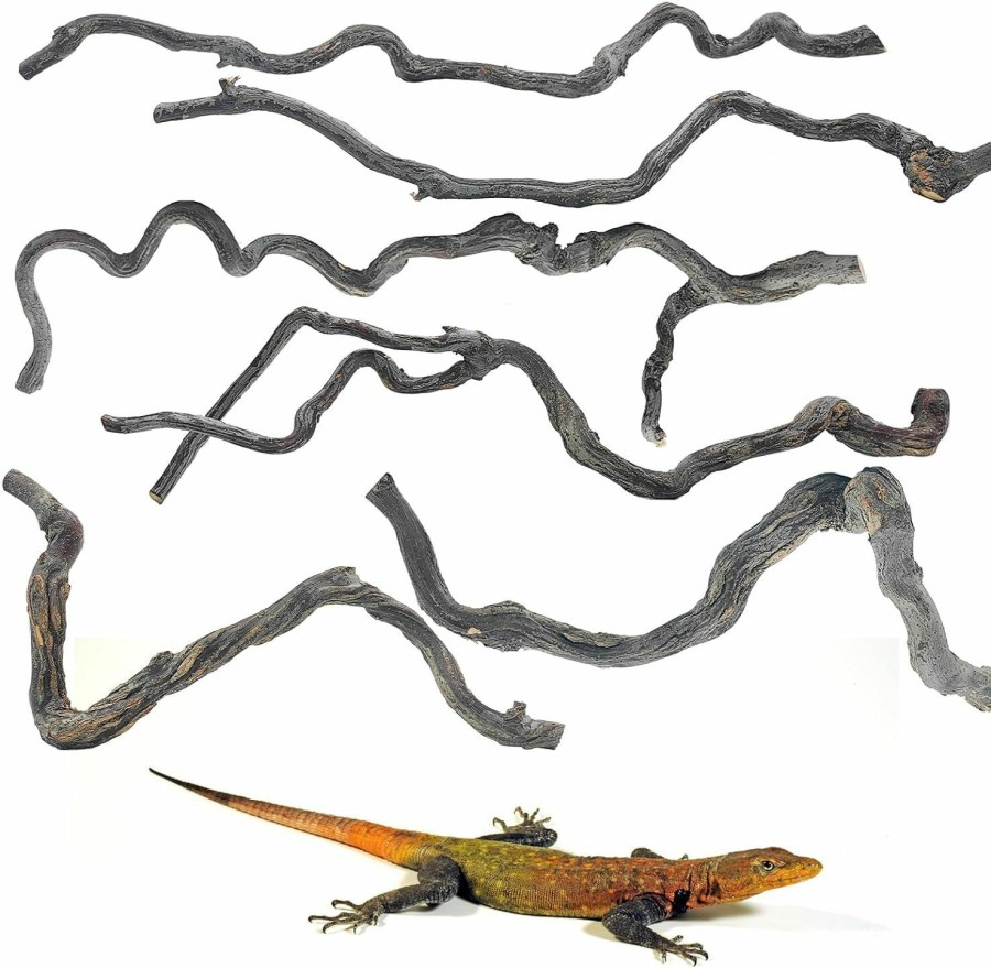 Reptiles & Amphibian Apatal | Apatal Reptile Branch Decor Snake Climbing Wood Branches Lizard Habitat Decorations Terrarium Wooden Tree Trunk Ornament For Bearded Dragon Snake Geckos Chameleon Frog 6 Pack