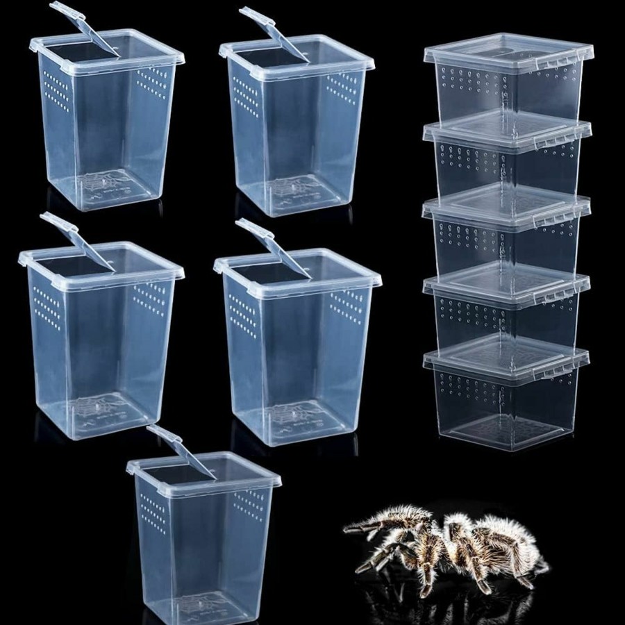 Reptiles & Amphibian DQITJ | 10 Pack Spider Terrariums Breeding Box Small Reptile Hatching Container Acrylic Feeding Box For Arboreal Spider Tarantula Mantis Scorpion Centipede Insect (5 High+5 Small)