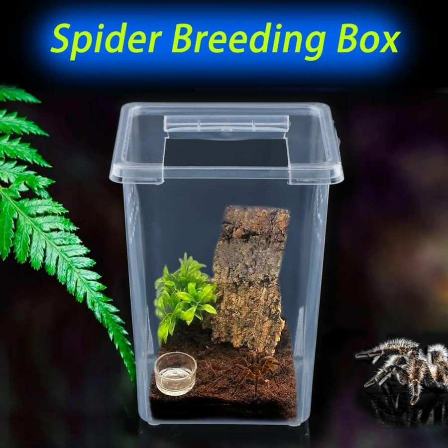 Reptiles & Amphibian DQITJ | 10 Pack Spider Terrariums Breeding Box Small Reptile Hatching Container Acrylic Feeding Box For Arboreal Spider Tarantula Mantis Scorpion Centipede Insect (5 High+5 Small)