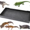 Reptiles & Amphibian YOLUFER | Yolufer Reptile Food Water Bowl Plate Dish For Tortoise Crawl Pet Drinking And Eating Hallow Water Dish For Reptiles (Size1-S)