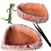 Reptiles & Amphibian YUBONUS | 2 Reptile Feeding Dish Water Dish Food Bowls,Breadworm Feeding For Leopard Gecko Lizard Spider Scorpion Chameleon (2Pcs Triangle)