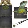 Reptiles & Amphibian Hamiledyi | Reptile Basking Platform, Tortoise Feeding Dish, Rock Reptile Food Bowl With Feeding Tweezers Landscape Habitat Decor For Turtle Lizard Bearded Dragon Crested Gecko Snake (3 Pcs)