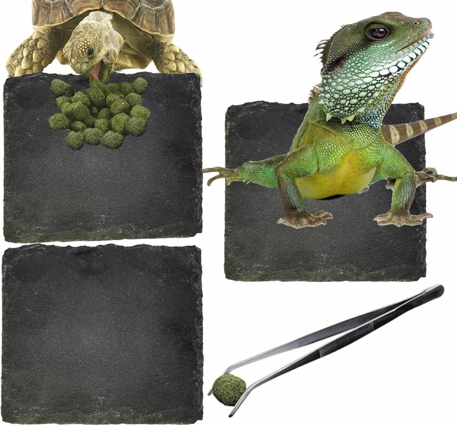 Reptiles & Amphibian Hamiledyi | Reptile Basking Platform, Tortoise Feeding Dish, Rock Reptile Food Bowl With Feeding Tweezers Landscape Habitat Decor For Turtle Lizard Bearded Dragon Crested Gecko Snake (3 Pcs)