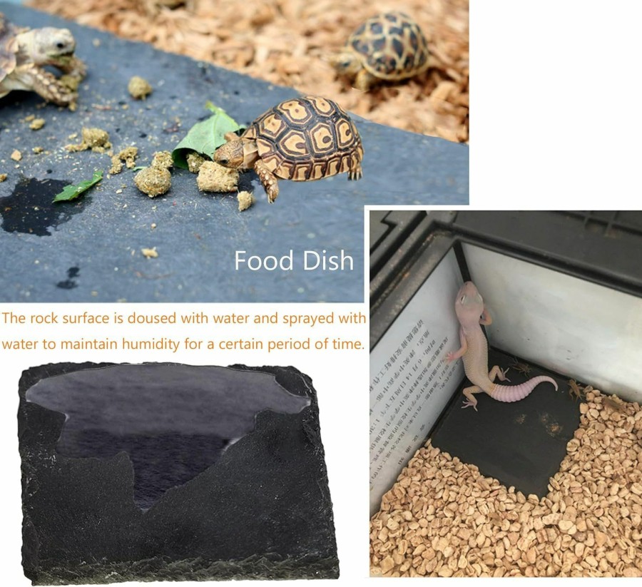 Reptiles & Amphibian Hamiledyi | Reptile Basking Platform, Tortoise Feeding Dish, Rock Reptile Food Bowl With Feeding Tweezers Landscape Habitat Decor For Turtle Lizard Bearded Dragon Crested Gecko Snake (3 Pcs)