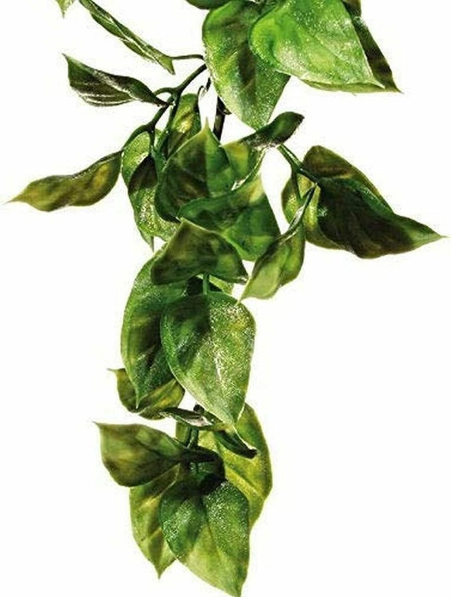 Reptiles & Amphibian Exo Terra | Exo Terra Plastic Terrarium Plant, Large, Amapallo