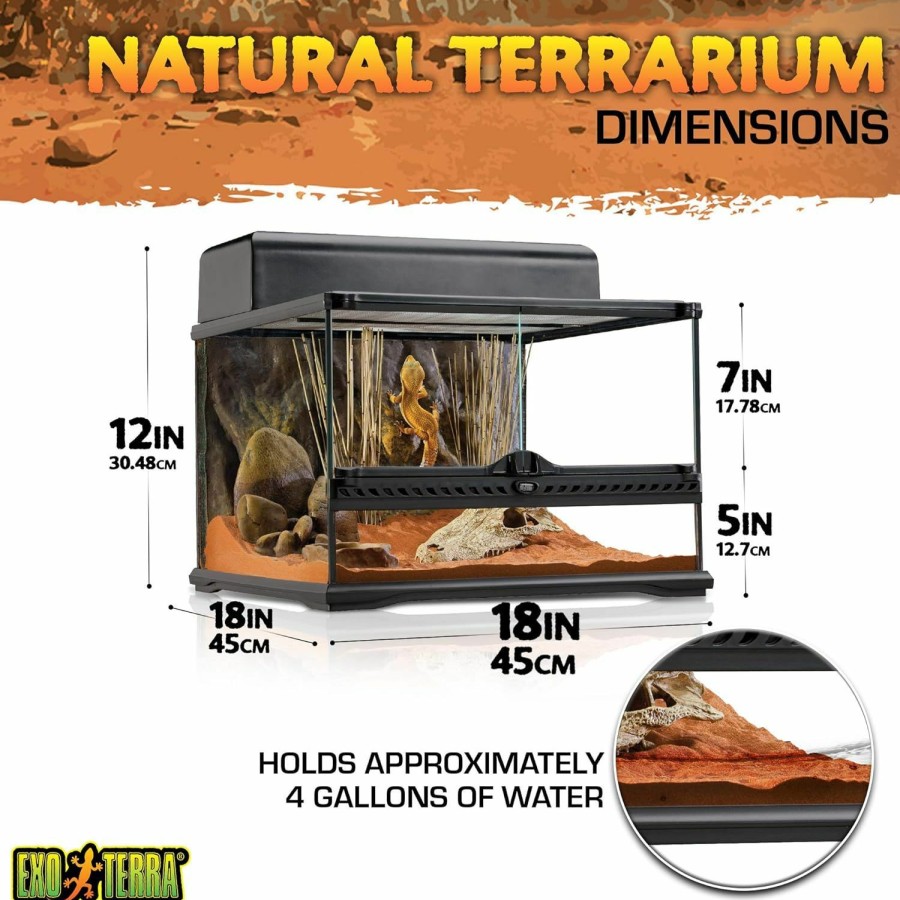 Reptiles & Amphibian Exo Terra | Exo Terra Short All Glass Terrarium, 18 By 18 By 12-Inch