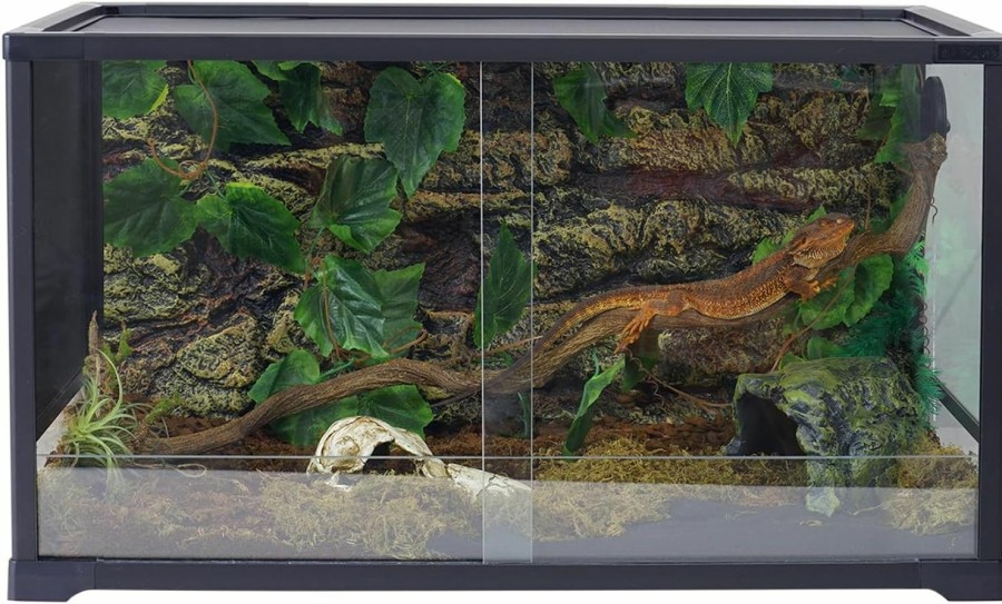 Reptiles & Amphibian Aiicioo | Aiicioo Reptile Glass Tank - 36 X 18 X 18 Inches Knock Down Full View Natural Terrarium For Chameleon Gecko Corn Snake Iguana & Lizard Aquarium