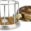 Reptiles & Amphibian Wontee | Wontee Tortoise Feeding Dish Reptile Water Dish Food Bowl Stainless Steel Feeder For Tortoises Lizards Turtles Chameleon (S)