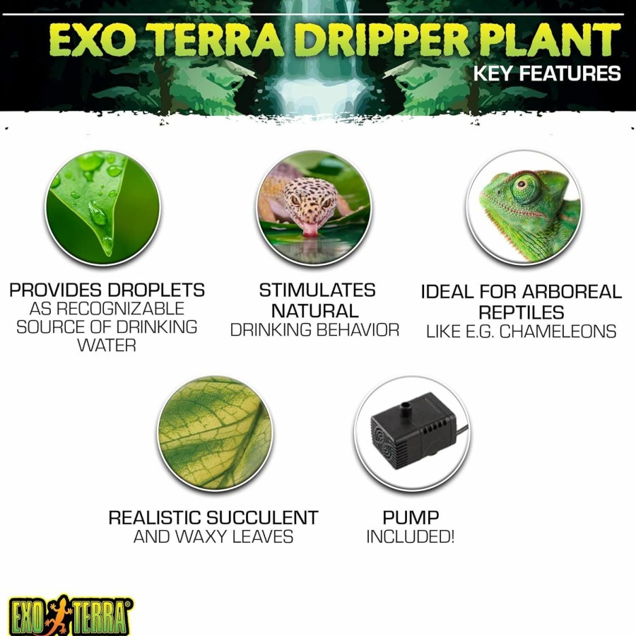 Reptiles & Amphibian Exo Terra | Exo Terra Dripper Plant, Small