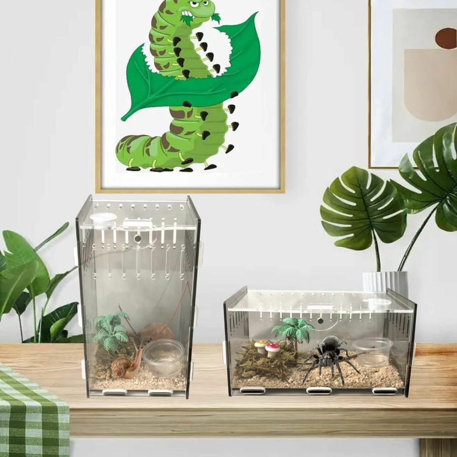 Reptiles & Amphibian Generic | 8X6X12Inch Magnetic Acrylic Reptile Case, Vertical Clear Black Tarantula Enclosure Tank, Micro Habitat Terrariums Suitable For Insect, Spiders, Crickets, Snails, Hermit Crabs, Lizards, Frogs