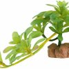 Reptiles & Amphibian WOLEDOE | Woledoe Fake Succulent Aeonium Arboreum, Reptile Plants For Terrarium, Amphibian Tank Accessories Habitat Decor Fit Crested Gecko Leopard Lizard Chameleon Ball Python Snake Frog